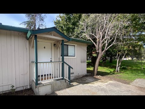 SCZ T 203 Jessie - Video 2 of 2