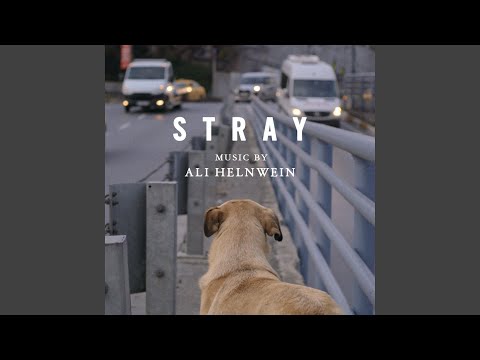 Video thumbnail for Reunion