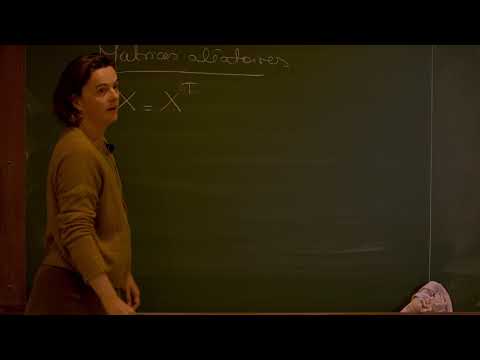 Colloquium MathAlp 2019 -  Alice Guionnet