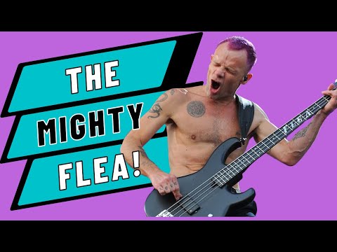 Flea's killer bass warm up - Bass Player Live 2017 - Vlog #315 Nov 10th 2017