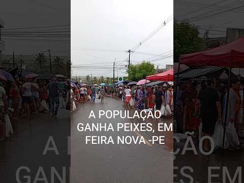 A POPULAÇÃO GANHA PEIXES EM FEIRA NOVA -PE #foryou #peixe #nordeste #ㅇyㅇ CHAAAMA É NÓS