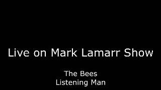 The Bees - Listening Man (Live in Session)