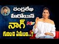 Isha Koppikar About Akkineni Nagarjuna Keshava Movie Exclusive Interview NTV
