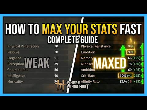 How to MAX Your Stats FAST (Attributes Guide) | Where Winds Meet