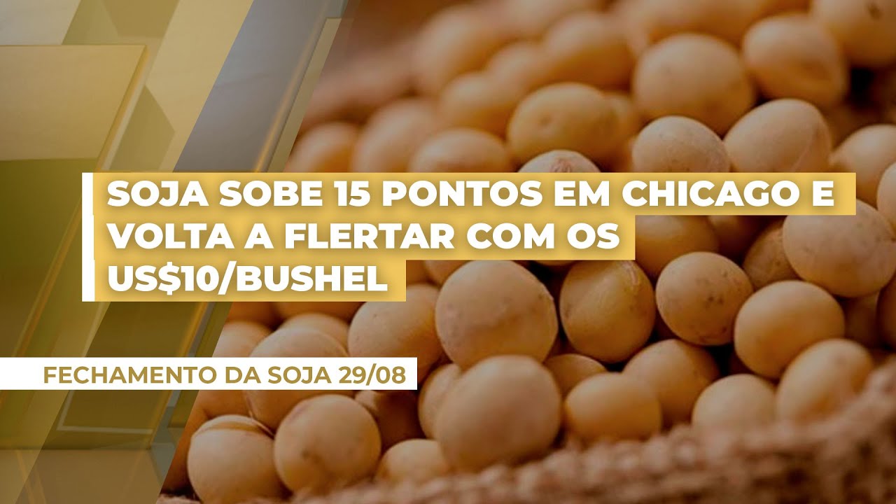 Soja sobe 15 pontos em Chicago e volta a flertar com os US$10/bushel nos vencimentos americanos