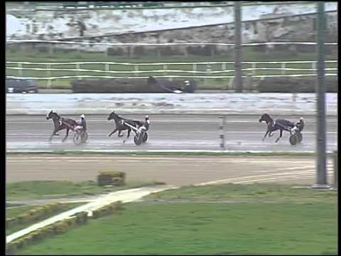 Trotto 22/03/2015 - prova di qualifica