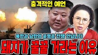 충격예언) 25년 전쟁 안 납니다! 돼지가 꿀꿀 거리는 진짜이유! 북한국운 /김정은예언/ 김정은신점