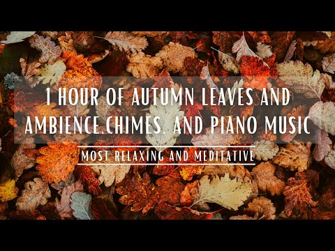 Autumn Ambience Colorful Leaves, Fall Picnic, Running Water, Birds, Wind Chimes, and Piano Music
