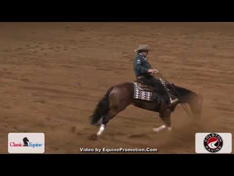 Shawn W. Flarida - Horse stumbling to carpal joints … almost fall ...