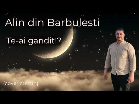 Muzica Domnului - Se duce viata, se duc si anii! (cover) - Alin din Barbulesti