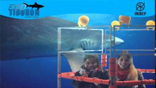 DIA 2 Expo Tiburon227