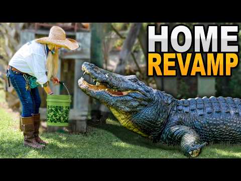 Riesiger Alligator bekommt ein neues Zuhause! (JAWS)