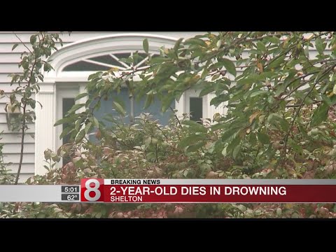 download lagu mp3 mp4 Shelton Ct Breaking News, download lagu Shelton Ct Breaking News gratis, unduh video klip Shelton Ct Breaking News