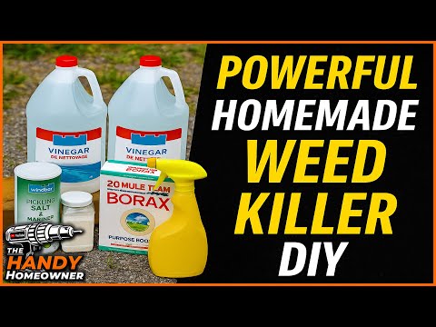 I Tried ChatGPT’s Homemade Weed Killer — Does It Actually Work?