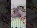 SMART Husband Shorts By Tsuriki Show