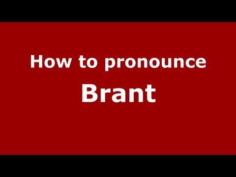 How to pronounce Brant