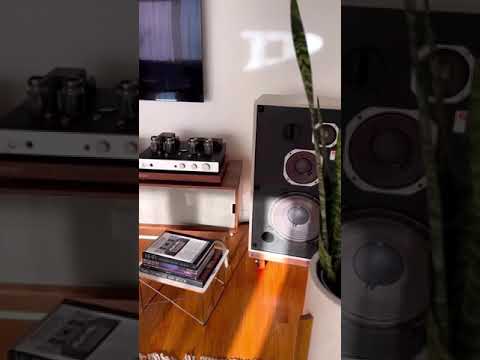 A Simple And Clean HiFi Setup That Sounds Amazing #shorts