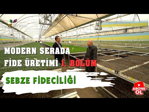 , title : 'Çiftlik Projem | Sebze Fideciliği | Modern Serada Fide Üretimi 1. Bölüm Antalya / Kumluca'