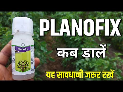 Planofix | Bayer Planofix | Bayer Planofix Technical | Planofix Plant growth regulator
