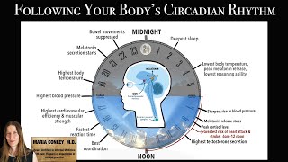 Following Your Body's Circadian Rhythm:  A Look at the Master Clock in the Suprachiasmatic Nucleus
