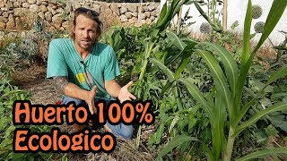 La Permacultura 🌳 || Conoce un Huerto 100% Ecológico