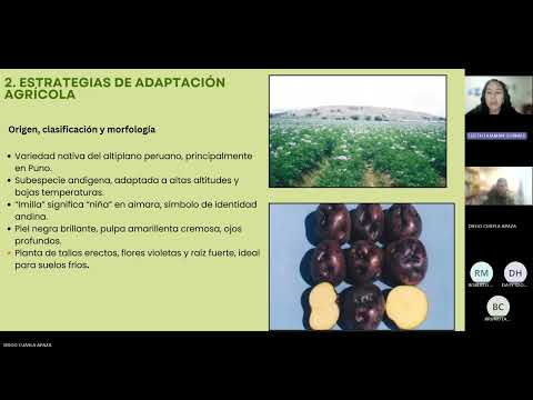 PLAN DE GESTIÓN CLIMÁTICA AGRÍCOLA (PAPA IMILLA NEGRA, CHUCUITO – PUNO)