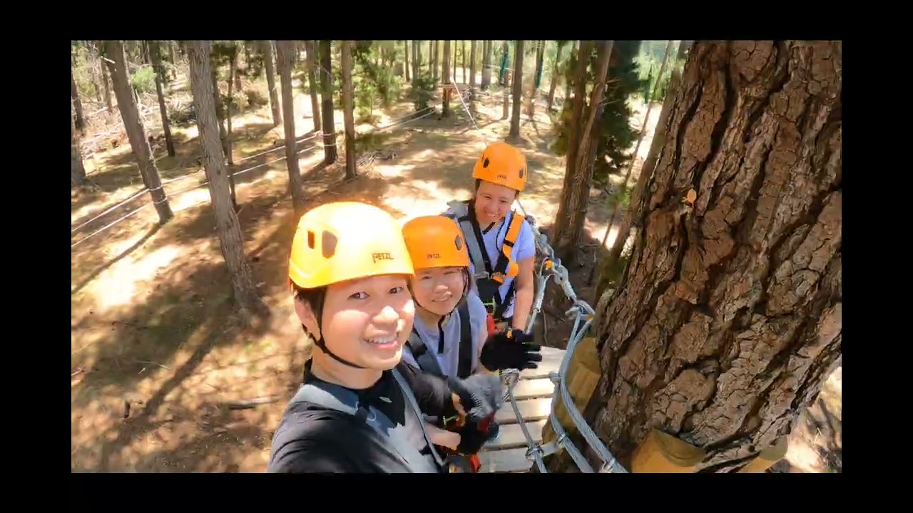 Catch a peek into fun adventures at Treetops Canberra.