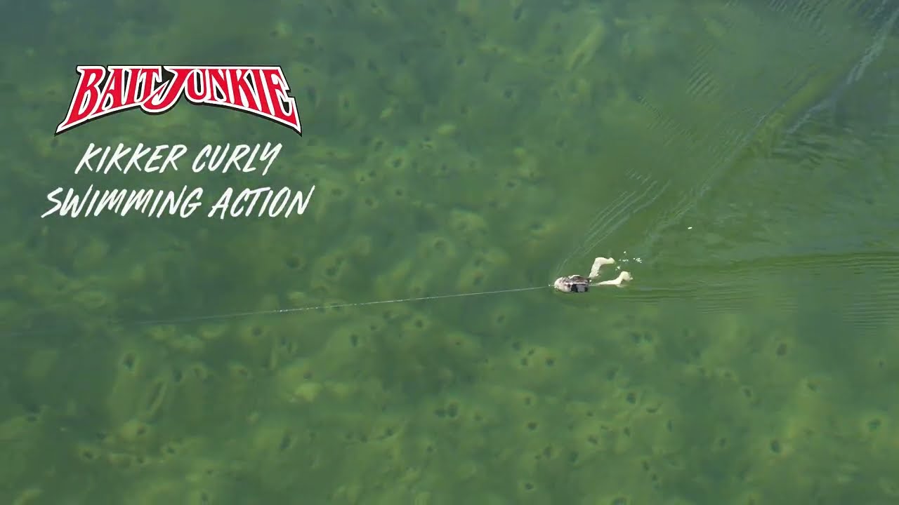 Daiwa Baitjunkie Kikker Curly Plastics video thumbnail