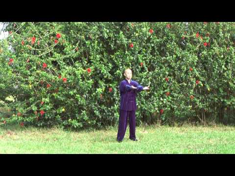 Qigong for Immune Boost