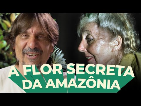 MARGARET MEE EM BUSCA DA FLOR DA LUA - EDUARDO BUENO