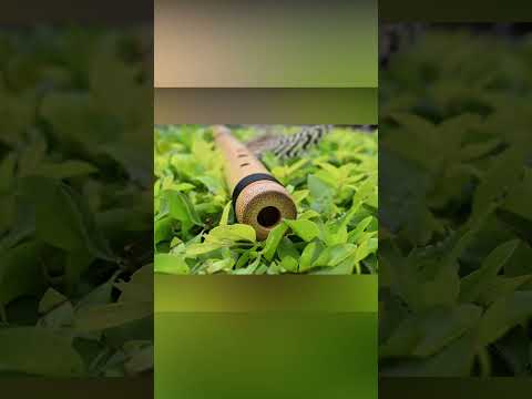 Bamboo Flute & Ebony ~ Quenacho Lupaca Key in D image 5