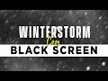 WINTER STORM Ambience for 10 Hours - Heavy Snowstorm and Blizzard Howling Wind sounds   BLACK SCREEN