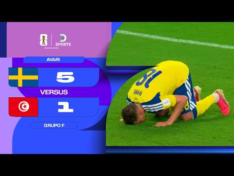 Resumen Suecia vs Túnez