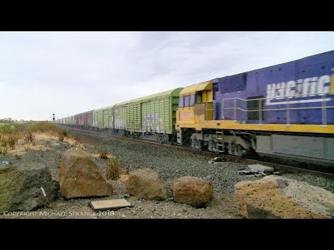 PM5: Triple NR Class Locomotives, Louvre Vans & Containers - PoathTV Australian Trains & Railways