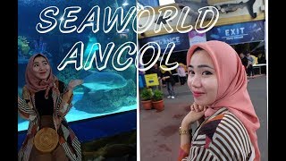 Download lagu Mengenal kehidupan bawah laut|||Seaworld Ancol mp3 Download lagu Mengenal kehidupan bawah laut|||Seaworld Ancol mp3