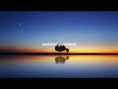 Sofi Tukker Mari Merenda & Sophia Ardessore - Veneno[lyrics ]