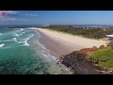 Drones detect Sharks at Lighthouse Beach, Ballina