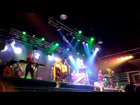 El tano romero amar  disco de oro