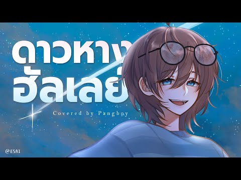 ดาวหางฮัลเลย์ (Halley's Comet) - fellow fellow (cover) | Pangboy