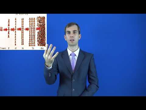 прогрессия