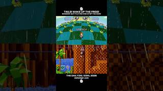 TAILS! WAKE UP THE FROG! - SHADOW! QUIT PLAYING AND STOP THE RAIN! | #shorts #sonicshorts