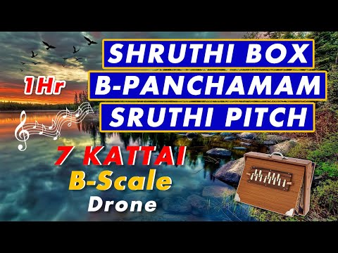Shruthi Box B-Scale Panchamam Shruthi Drone 7 Kattai One  Hour