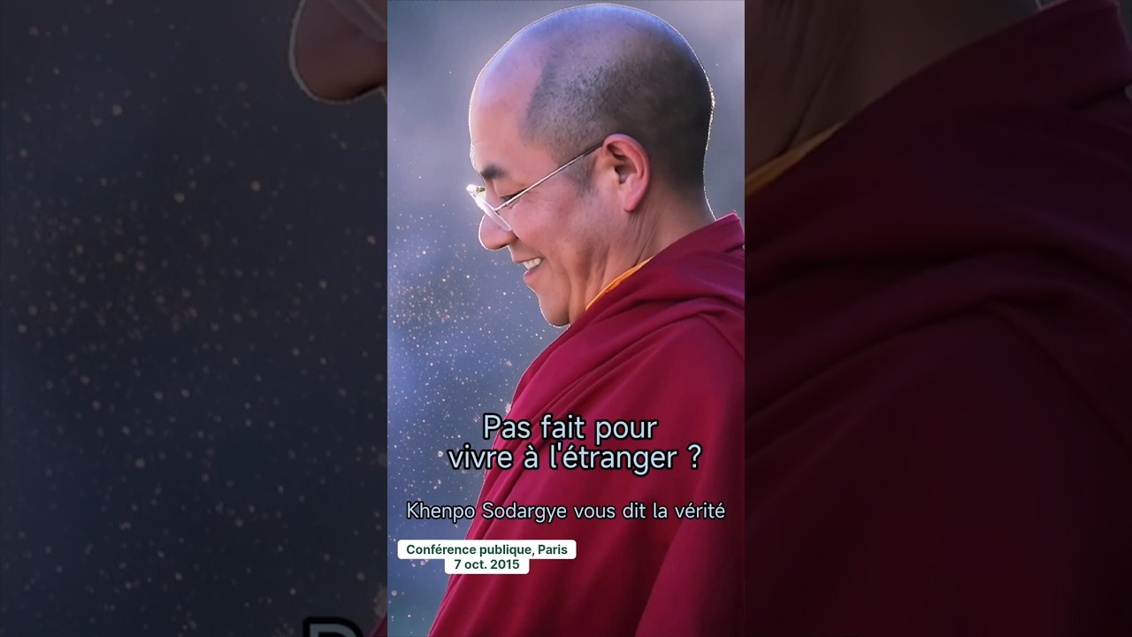 Pas fait pour vivre à l'étranger ?Khenpo Sodargye vous dit la vérité #khenposodargye