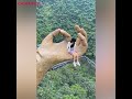 Buddha's Hand