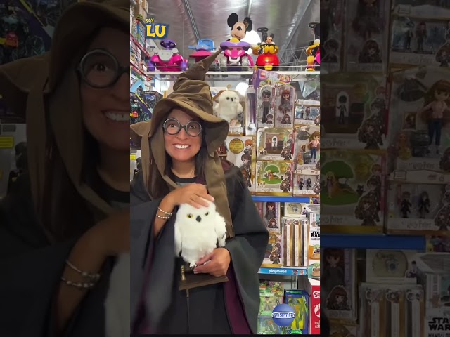 Vídeo relacionado con WIZARDING WORLD - PACK 5 FIGURAS HARRY POTTER Y LA CÁMARA SECRETA: HARRY, BASILISCO, FAWKES, RIDDLE, SOMBRERO Y CAJA DE EXHIBICIÓN - 6068622 - Juegos Infantiles - Juguetes Niños 6 Años +