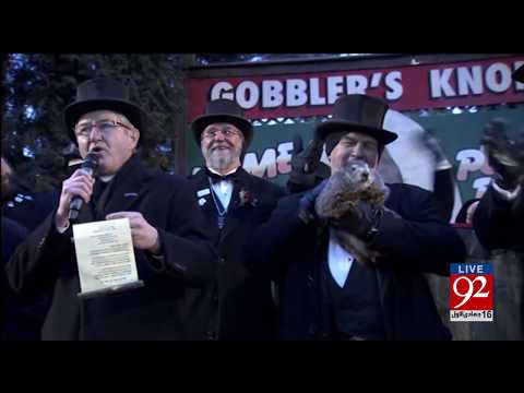 92 News HD Plus Headlines 03:00 PM - 03 February 2018 - 92NewsHDPlus