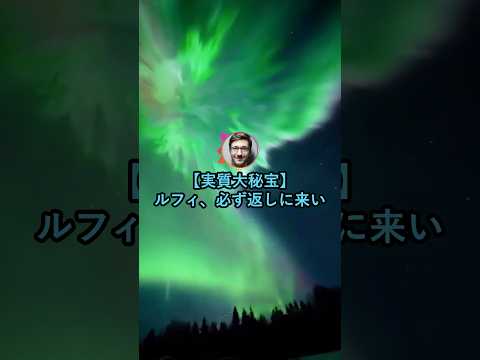 【実質大秘宝】ルフィ、必ず返しに来い。【2ch面白いスレ】