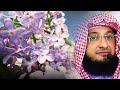 Pyare Nabi ﷺ Ki Khoobsurti By Shaikh Javeed Usman Rabbani