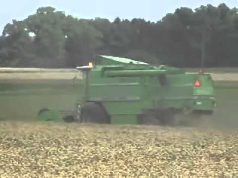 Persyn - Steelandt: Maaidorsen.