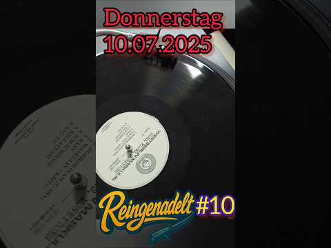 Teaser Reingenadelt #10 Westberlin Maskulin - Hoes Flows Moneytoes